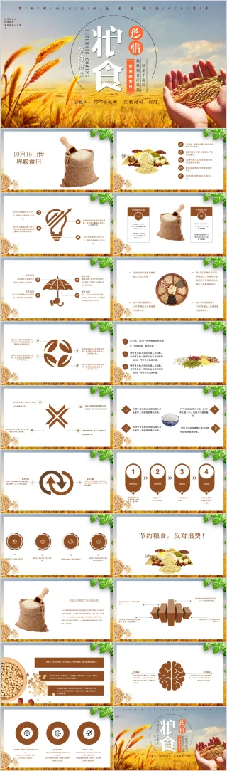 农业发展粮食稻谷金秋丰收节约粮食宣传主题PPT模板